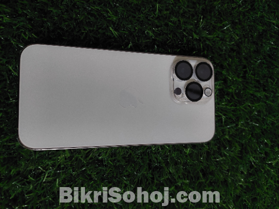 IPhone 14 por max